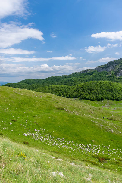  green meadows stretching among picturesque mountains - Zdjęcie, obraz