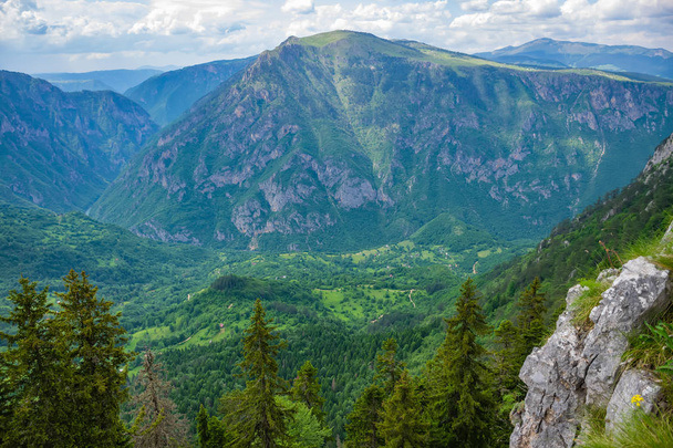 Panoramiczny widok na zielony głęboki Kanion w wysokich górach  - Zdjęcie, obraz