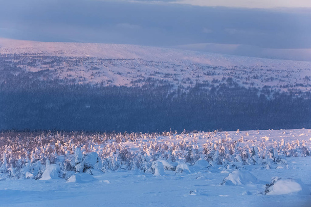 Pôr do sol gelado. Paisagem das montanhas Urais do Norte, República de Komi, Rússia
 - Foto, Imagem