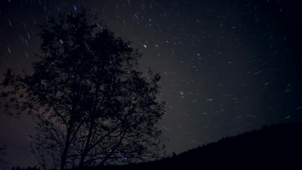 Startrails, moviendo estrellas con el árbol en primer plano - Metraje, vídeo