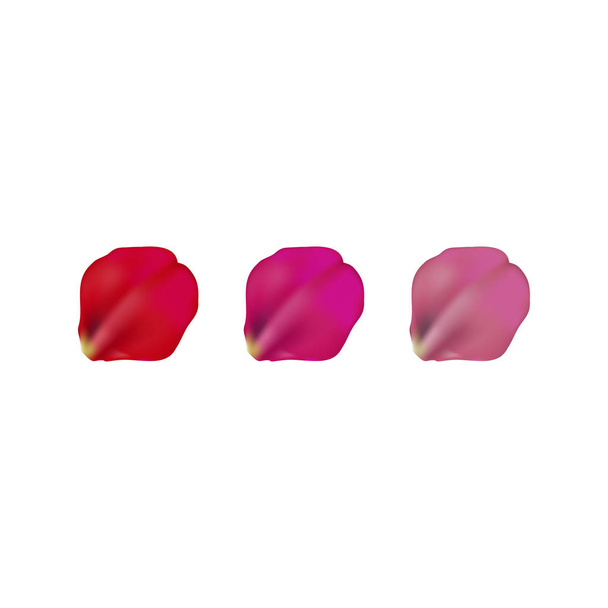 juego de pétalos de rosa de diferentes colores, aislado en blanco, ilustración vectorial
 - Vector, Imagen