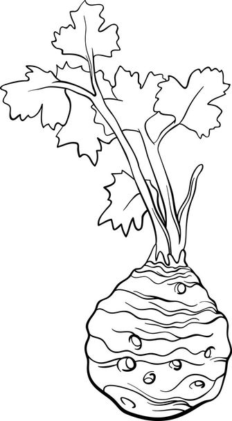celery vegetable cartoon for coloring book - Vektör, Görsel