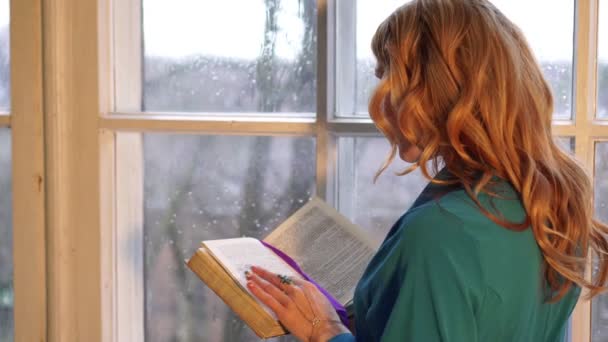 Φθινόπωρο, μια όμορφη νεαρή γυναίκα διαβάζοντας ένα βιβλίο κοντά στο παράθυρο. - Πλάνα, βίντεο