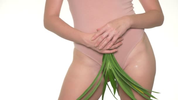 Γυναίκα που κρατά φρέσκα πράσινα φύλλα σε εσώρουχα φόντο, η έννοια της γυναικείας φροντίδας υγείας και το σώμα - Πλάνα, βίντεο