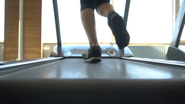 Back view of female legs running on treadmill in gym. Fitness person doing cardio exercises, goal oriented, weight loss inspiration. Healthy activity in sport club - Materiaali, video