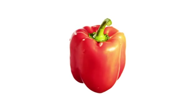 Bell Pepper Red Sweet Spinning Rotation Isolated on White Background Suspended in the Air - Footage, Video