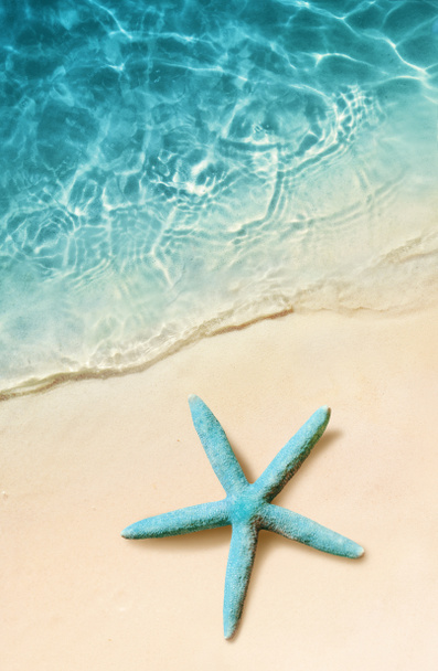 Starfish on the sand beach and ocean as background. Summer beach - Photo, Image
