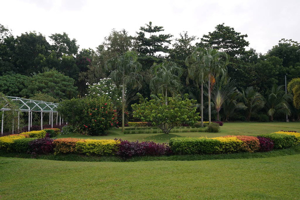 Парк с пышной зеленью под облачным небом
 - Фото, изображение