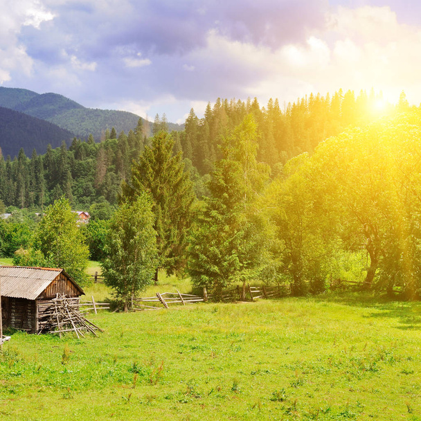 Slopes of mountains, coniferous trees and a bright sunset. Rural landscape. Picturesque and gorgeous scene. Location place Carpathian, Ukraine, Europe. Concept ecology protection. Explore the world's beauty. - Фото, изображение