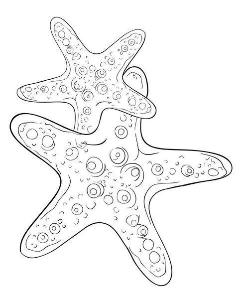 Két aranyos tengeri csillag kép pihentető tevékenység.Egy kifestőkönyv, oldal felnőtteknek és gyermekeknek.Line art stílusú illusztráció nyomtatáshoz.Plakáttervezés. - Vektor, kép