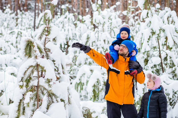 Isä kävelee pienten lastensa kanssa metsässä talvella. Talviaktiviteetit lumessa, kelkoissa ja lumipalloissa
 - Valokuva, kuva