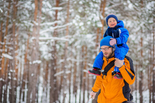 Apja sétál az erdőben, a kisgyermekek télen. Téli lehetőségek a havat, a szánkót és a hógolyókat - Fotó, kép
