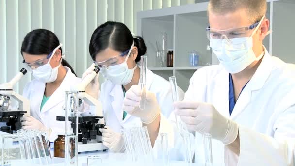 Tres médicos jóvenes que estudian en el laboratorio del hospital
 - Imágenes, Vídeo