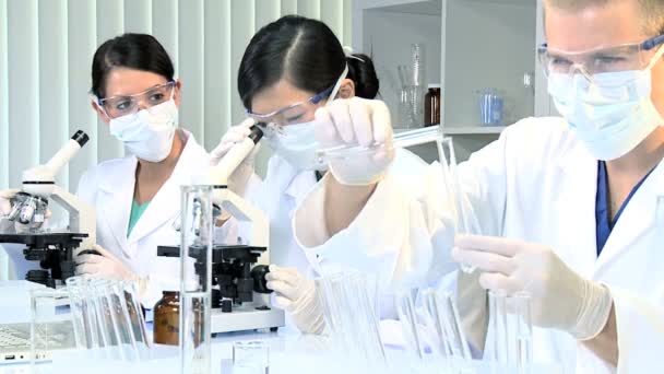 trzech studentów badania w laboratorium medyczne - Materiał filmowy, wideo