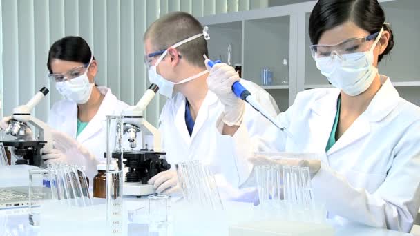 trzech asystentów w medycznych badań laboratoryjnych - Materiał filmowy, wideo