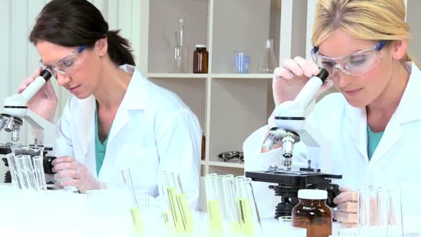 Investigadoras médicas en laboratorio
 - Imágenes, Vídeo