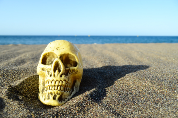 海の近くの砂浜の人間の頭蓋骨 - 写真・画像
