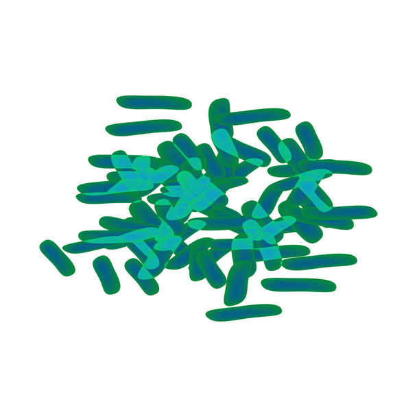 bifidobacterias. Bifidobacterium infantis. Probiótico, lactobacilo, bifidobacterias, prebiótico probiótico Infografías Ilustración vectorial sobre fondo aislado
 - Vector, imagen