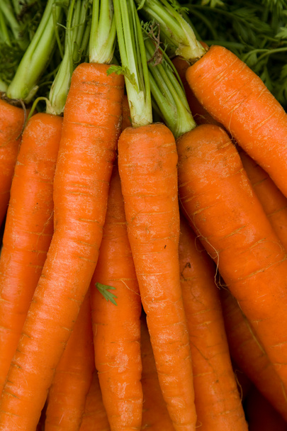 Zanahorias - Foto, imagen