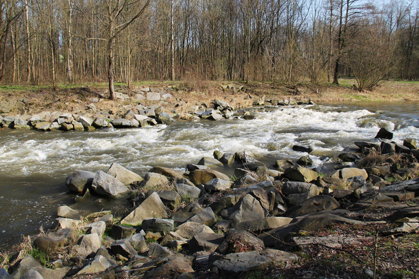 ostravice Fluss fließt über die Steine in der schnellen - Foto, Bild