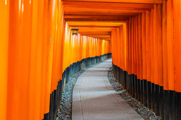 Kaunis fushimi inari temppeli Kiotossa Japanissa
 - Valokuva, kuva
