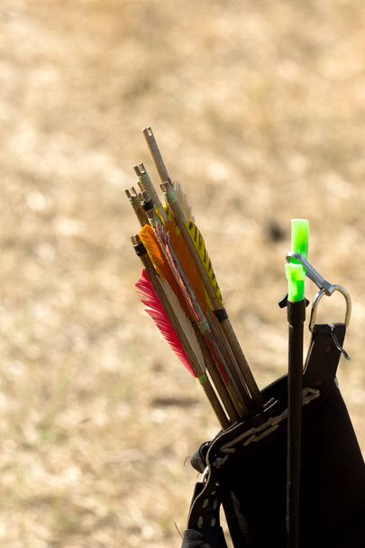 Tiro con arco. Flechas para tiro con arco con plumaje de color en el carcaj. Carcaj, una bolsa especial con flechas
. - Foto, imagen