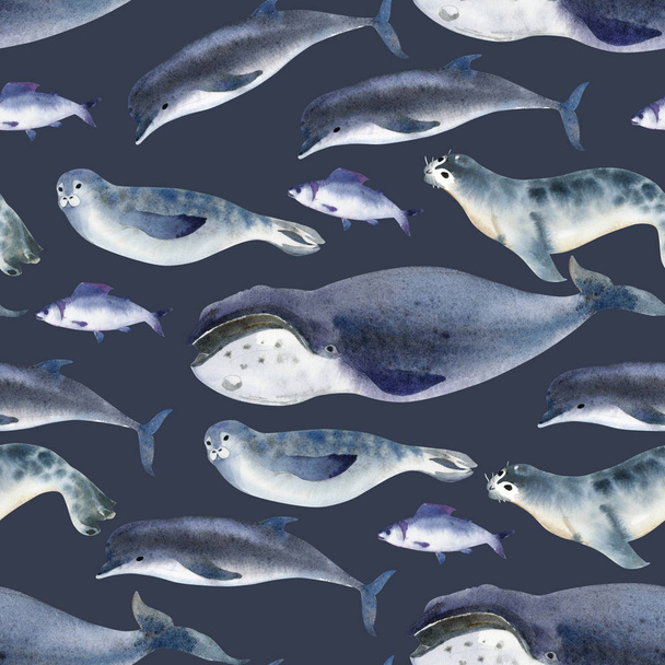 Seamless watercolor pattern about sea fauna. marine animal. Gray dolphin, whale, fish and seal on dark background - 写真・画像