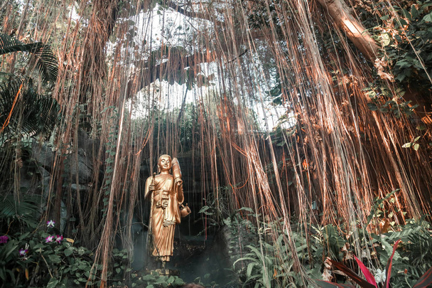 Golden Buddha statue in the tropical garden with waterfall in Wat Saket Golden Mountain Temple in Bangkok - Photo, Image