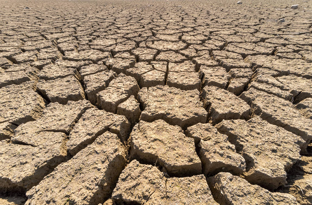 Száraz repedezett sivatagban. Háttér. A globális vízhiány a bolygón. - Fotó, kép