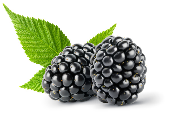 Geïsoleerde berry. Twee hele verse blackberry fruit met bladeren geïsoleerd op een witte achtergrond, uitknippad - Foto, afbeelding