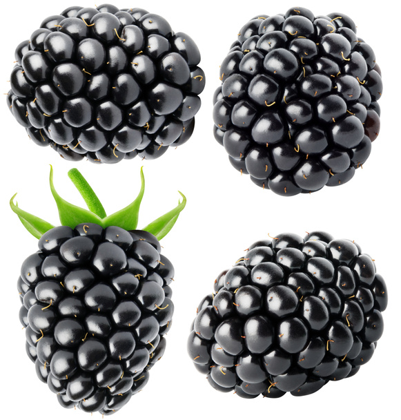 Elszigetelt bogyók gyűjteménye blackberry gyümölcsök elszigetelt fehér background vágógörbével - Fotó, kép