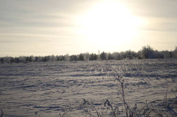 field in winter, snow landscape, - Foto, immagini