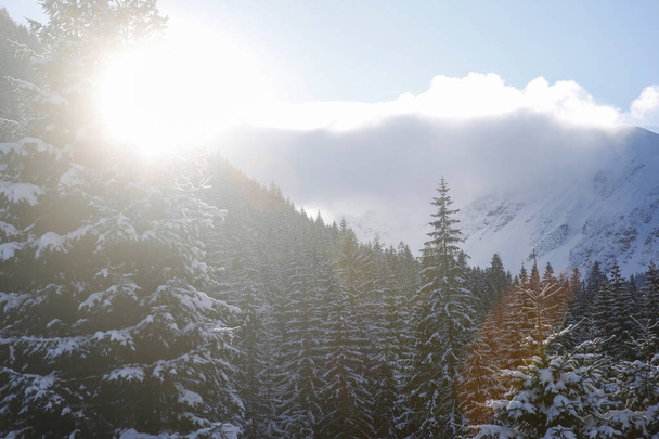 picos de montaña de invierno vistos bajo el sol con bengalas de lentes
 - Foto, Imagen