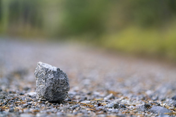 Ένα μικρό γκρίζο βότσαλο πέτρα στο έδαφος σε κοντινό πλάνο και επιλεκτική εστίαση, πυροβολήθηκε από ισόγειο με θολή φόντο και αντιγράψτε χώρο - Φωτογραφία, εικόνα