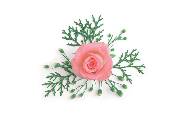 Beautiful rose flower on background - Photo, Image