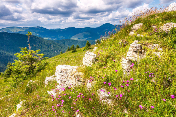 Paisagem de primavera com prados floridos e os picos da montanha, céu azul com nuvens no fundo. A área de Donovaly no Parque Nacional Velka Fatra, Eslováquia, Europa
. - Foto, Imagem
