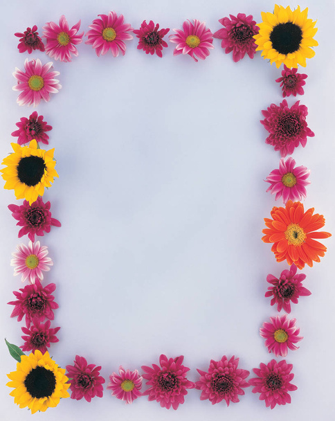 Frame of Flowers and Leaves - 写真・画像