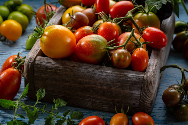 Harvest of heirloom tomatoes in crate - Foto, afbeelding
