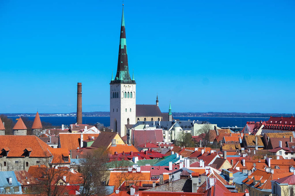 Самые заметные горизонты Таллинна
 - Фото, изображение