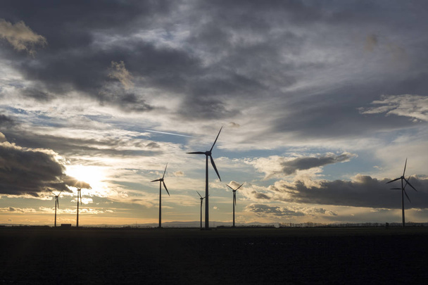 オーストリアの風車フィールド夕日 - 写真・画像
