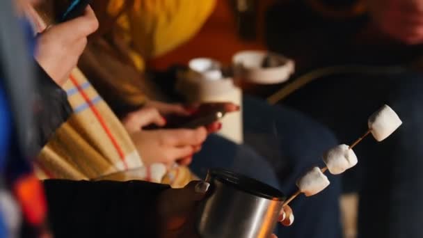 Gruppe von Freunden sitzt im Winterwald am Feuer, trinkt heiße Getränke und isst Marshmallow - Filmmaterial, Video