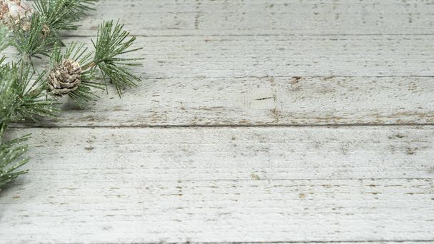 シンプルなキラキラ パイン コーン支店背景、ヘッダーと概念、便利白塗りの木 - 写真・画像