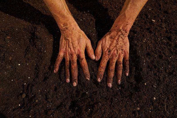 Фермер запачкал руки на подложке городского сада
 - Фото, изображение