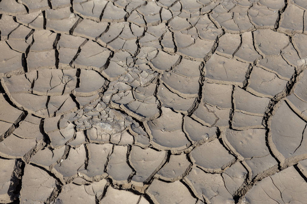 Kuivuus. Lake Riverin kuivunut pohja. Kuolleita rapuja kuivuudesta. Kuiva, murtunut kuivuusmaa. Käsitys kuivuudesta, ilmastonmuutoksesta, kuolemasta ilman kosteutta. Ekologiaa. Katastrofi. Mystiikka murtunut
 - Valokuva, kuva