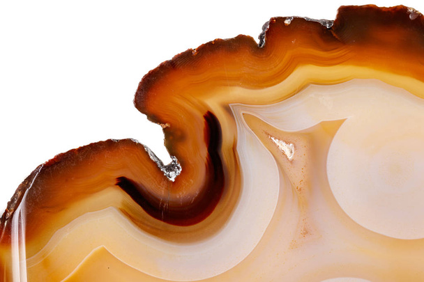 Macro mineral stone Yellow, brown Agate breed a white background close up - Photo, Image