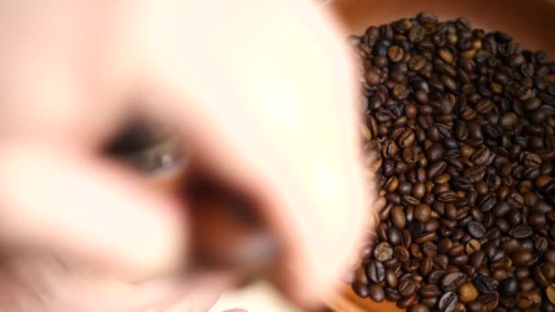 Pražená hnědá kávová zrna před bruska - Záběry, video