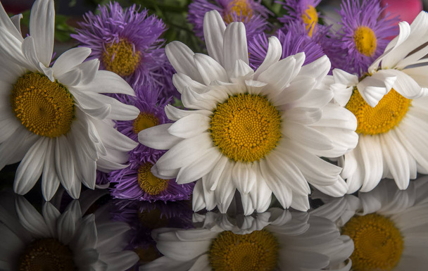 Ιώδη λουλούδια και μαργαρίτες με αντανάκλαση - Φωτογραφία, εικόνα