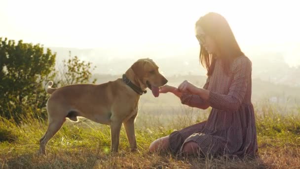 Adorável jovem mulher brincando com o cão na natureza durante o pôr do sol incrível
. - Filmagem, Vídeo