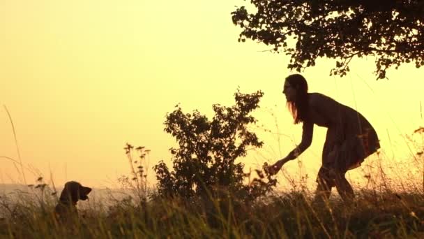 Silhouettes of girl throwing a ball. Dog playing with toy. Girl playing with dog. Cute dog chasing ball. Sweet pet playing outdoor. Dog jumps and catches ball on the nature at sunset - Footage, Video