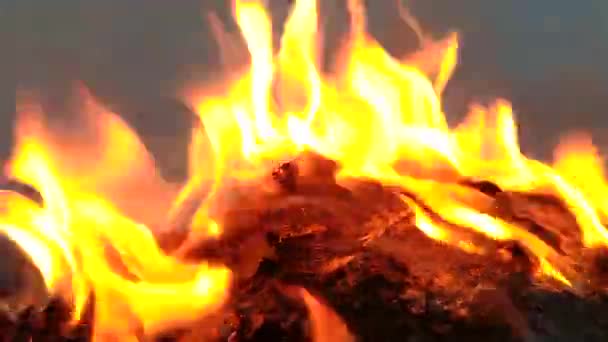 雪の中で燃えている火 - 映像、動画